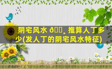 阴宅风水 🌸 推算人丁多少(发人丁的阴宅风水特征)